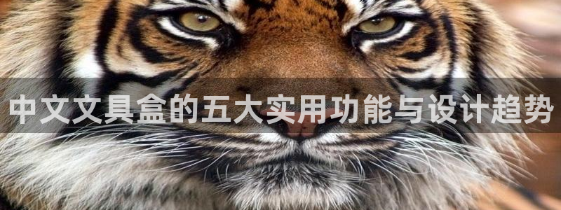 龙八国际下载链接安卓：中文文具盒的五大实