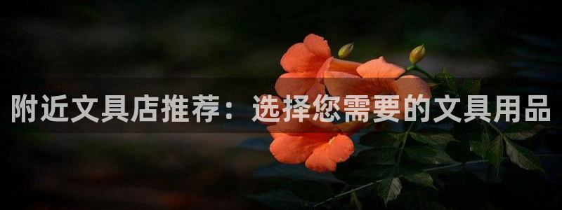 龙八国际网站多少