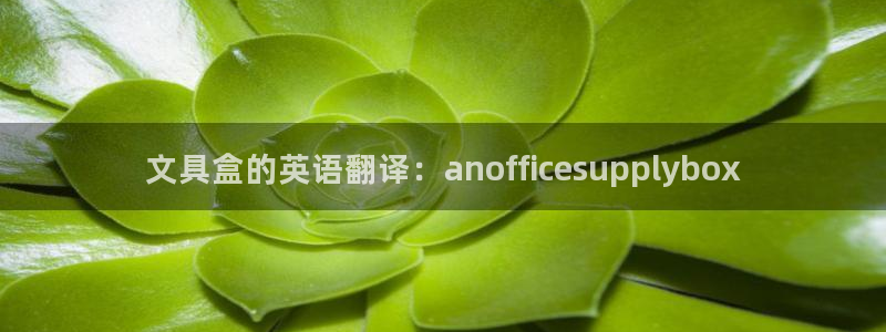 龙八国际电子游戏：文具盒的英语翻译：an