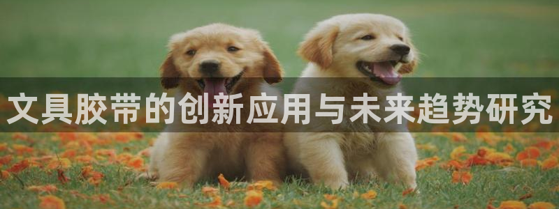 龙八国际app客户端下载手机版：文具胶带