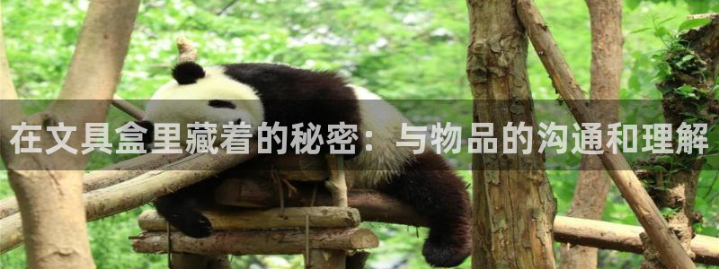 龙八国际平台真人游戏