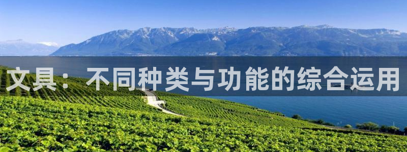 龙八国际官方网站入口：文具：不同种类与功