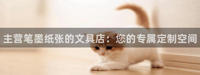 龙八国际手机登录首页：主营笔墨纸张的文具