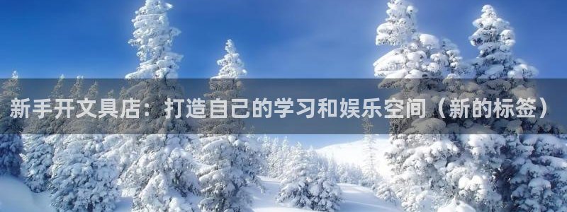 龙八国际娱乐下载：新手开文具店：打造自己