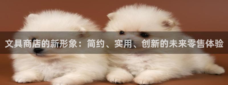 龙八国际安全：文具商店的新形象：简约、实