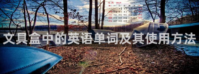 龙八国际平台网站：文具盒中的英语单词及其