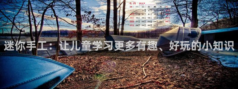 龙八国际跑路了吗：迷你手工：让儿童学习更