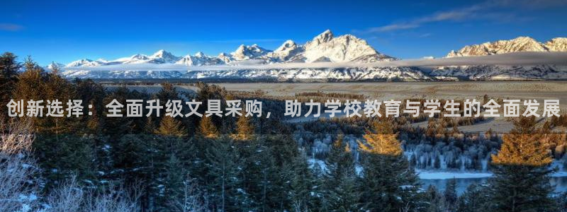 龙八国际 long5658.com：创新