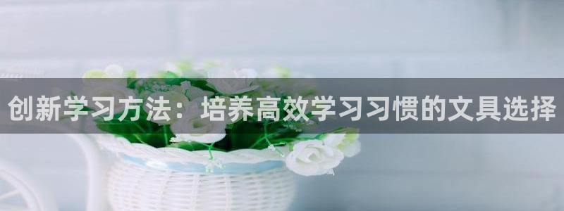 龙八国际long：创新学习方法：培养高效