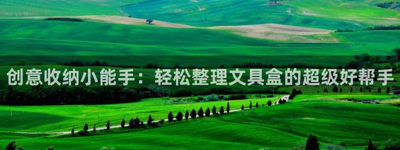 下载龙八国际大片：创意收纳小能手：轻松整