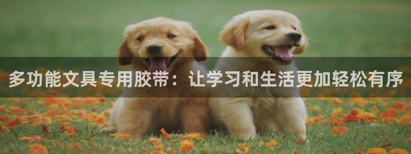 龙八国际娱乐官方网站：多功能文具专用胶带