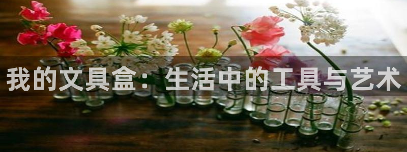 冯文戈 龙八国际集团：我的文具盒：生活中