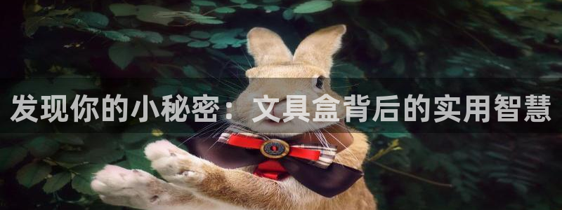 龙八国际城网站：发现你的小秘密：文具盒背