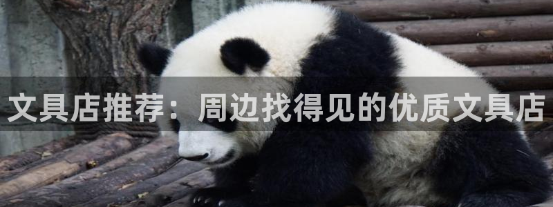 龙八国际娱乐官方：文具店推荐：周边找得见