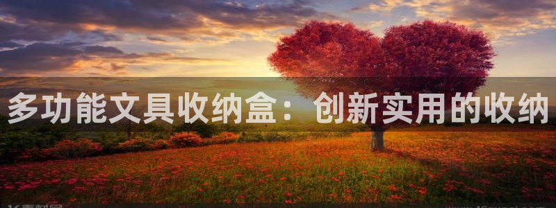 龙八国际相似的平台：多功能文具收纳盒：创