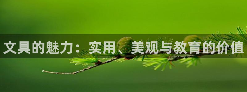 龙八国际app：文具的魅力：实用、美观与