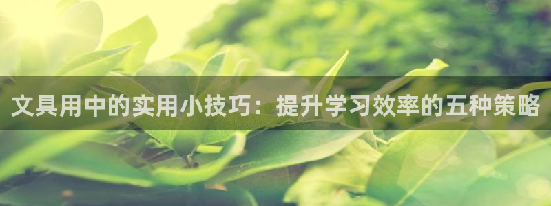 龙八国际网页：文具用中的实用小技巧：提升