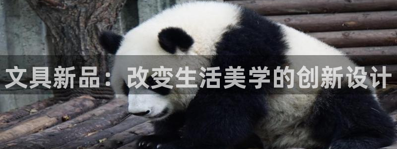 龙八国际官网首页：文具新品：改变生活美学