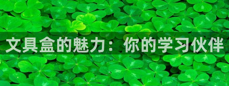 龙八国际是不是黑平台：文具盒的魅力：你的