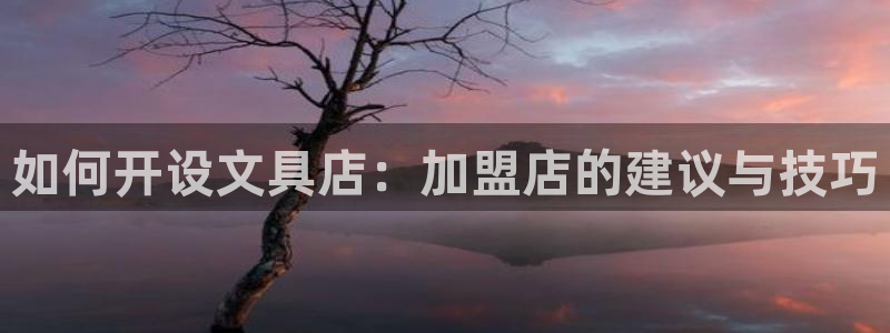 龙八国际官网苹果：如何开设文具店：加盟店