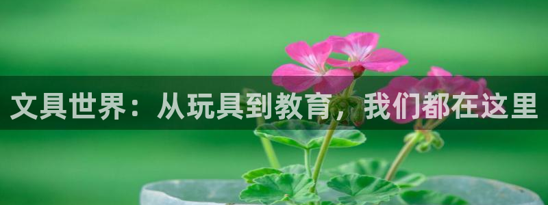 龙八国际官网安卓：文具世界：从玩具到教育