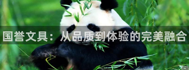 龙八国际下载安装彩：国誉文具：从品质到体