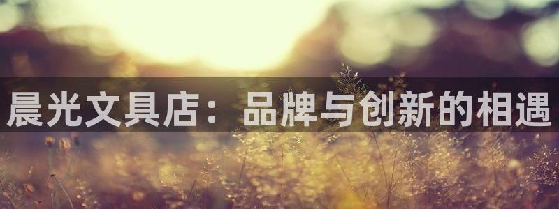 l龙八国际：晨光文具店：品牌与创新的相遇