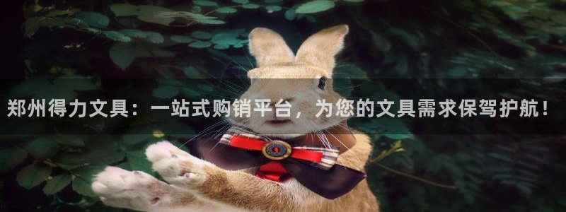 龙八国际手机下载安装：郑州得力文具：一站
