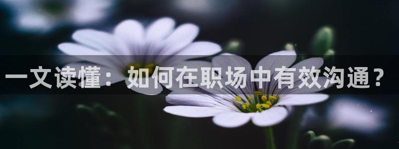 龙八国际输死人：一文读懂：如何在职场中有