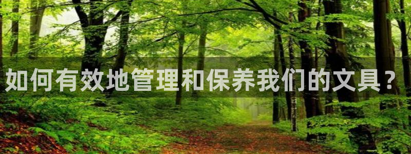 龙八国际服：如何有效地管理和保养我们的文