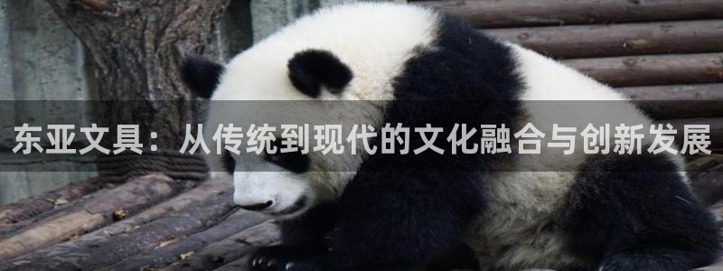 龙八国际害死多少人：东亚文具：从传统到现