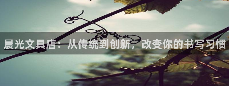 龙八国际链接：晨光文具店：从传统到创新，