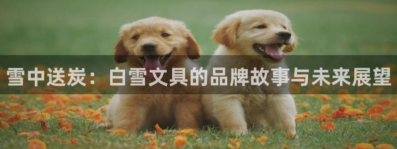 龙八国际娱乐官网：雪中送炭：白雪文具的品