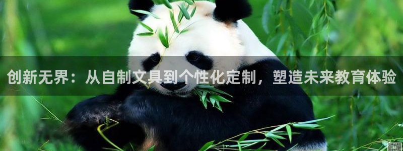 龙八国际手游：创新无界：从自制文具到个性