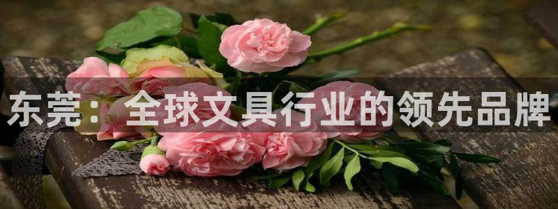 龙八国际手机版下载安卓：东莞：全球文具行