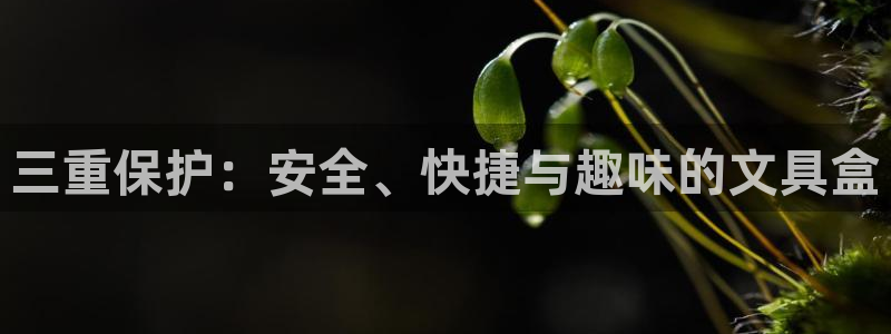 龙八国际网：三重保护：安全、快捷与趣味的