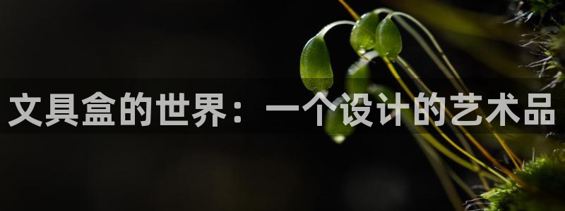 龙八国际网页登陆：文具盒的世界：一个设计