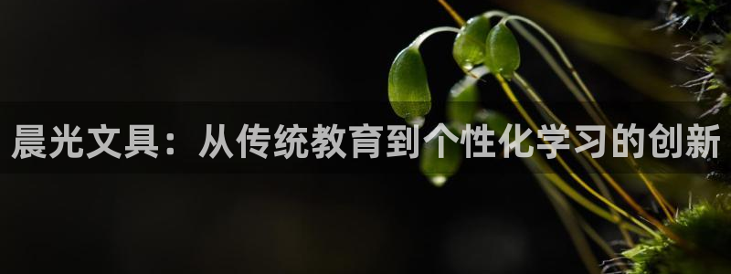 龙八国际下载链接一：晨光文具：从传统教育