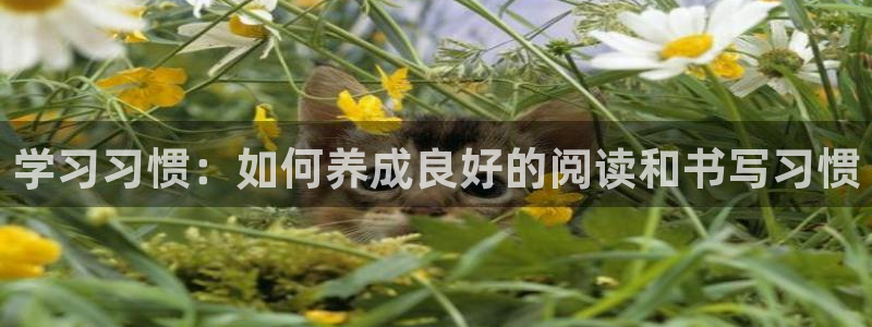 龙八国际娯乐城软件下载：学习习惯：如何养
