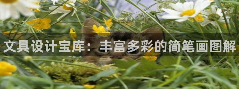 龙八国际新版：文具设计宝库：丰富多彩的简