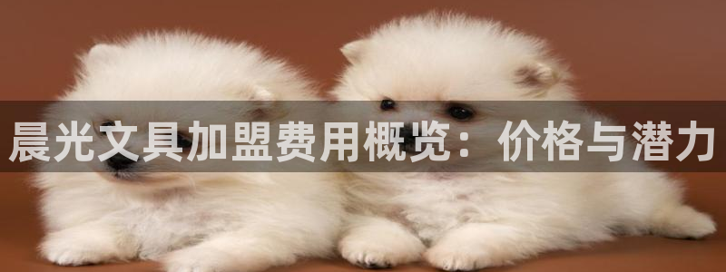 龙八国际网页：晨光文具加盟费用概览：价格