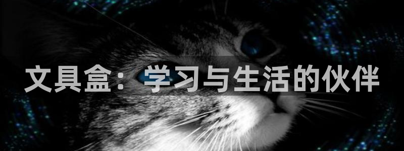 龙八国际游戏：文具盒：学习与生活的伙伴