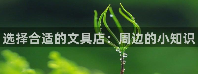 龙八国际网页long8.hn：选择合适的