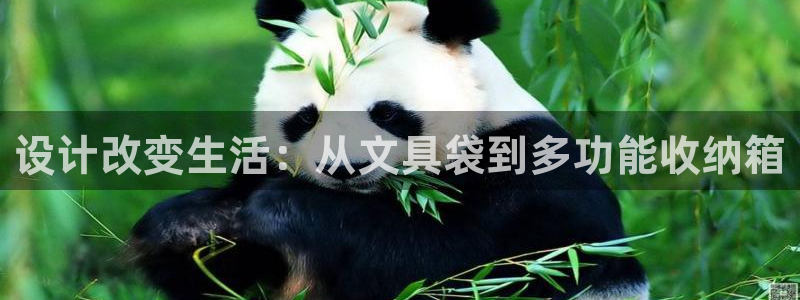 龙八国际手机端官网：设计改变生活：从文具