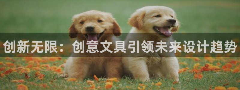 龙八国际免费下载：创新无限：创意文具引领