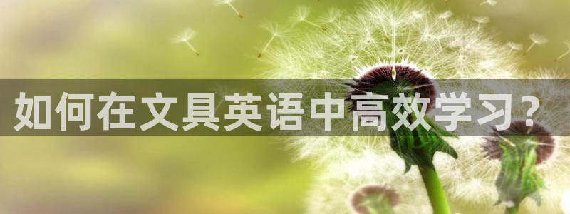 龙八国际游戏下载：如何在文具英语中高效学