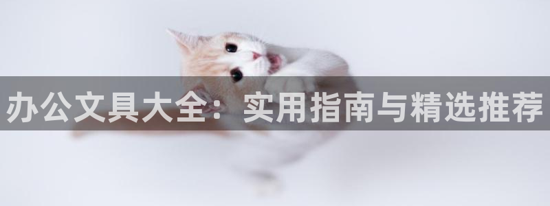 龙八国际相仿平台：办公文具大全：实用指南