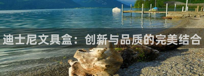 龙八国际服官方：迪士尼文具盒：创新与品质