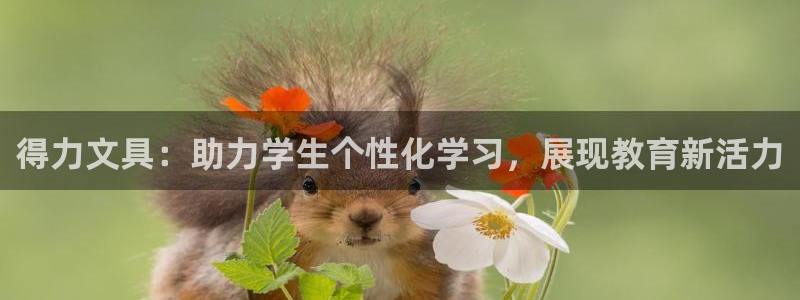 龙八国际官网网址：得力文具：助力学生个性