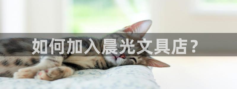 龙八国际官网：如何加入晨光文具店？